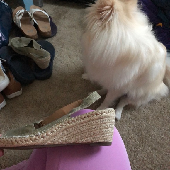 Clark - Picture 7 of 7